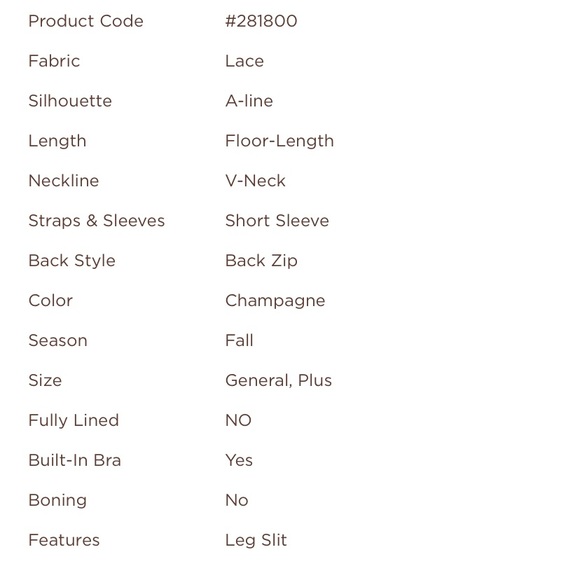 JJ’s House Dark Green Lace Formal Floor Length Dress - Picture 8 of 10